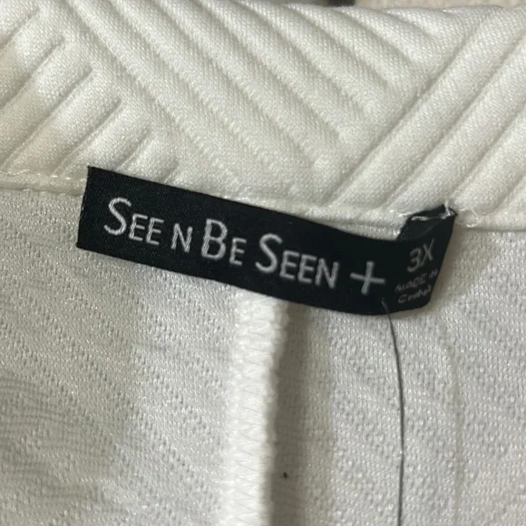 See N Be Seen white textured V-neck collared pullover 3x - Picture 6 of 8